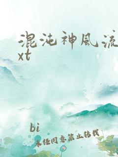 混沌神风流史txt