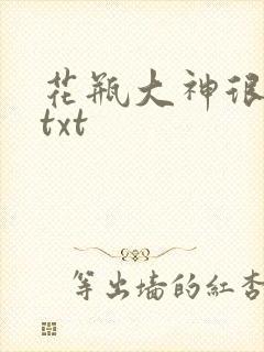 花瓶大神很菜鸟txt