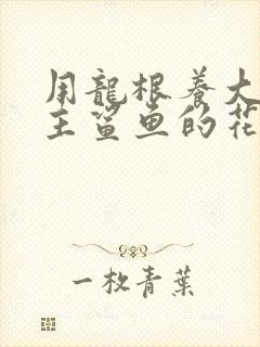 用龙根养大的公主鲨鱼的花