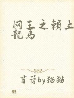 网王之赖上越前龙马