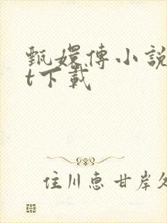 甄嬛传小说txt下载