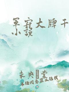 军宠大牌千金 小说