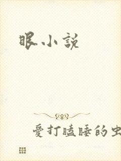 眼小说