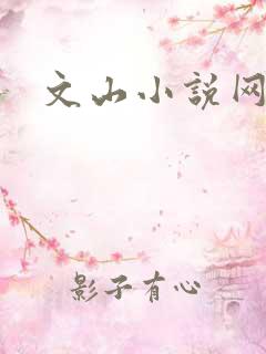 文山小说网