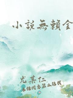 小说无赖金仙