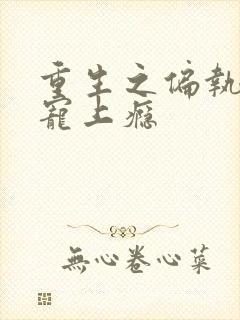 重生之偏执老公宠上瘾