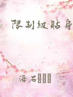 限制级贴身高手