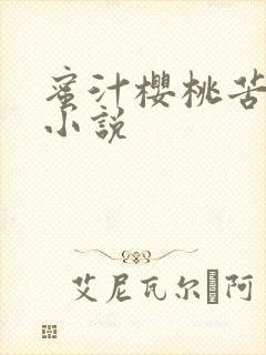 蜜汁樱桃苦咖啡小说