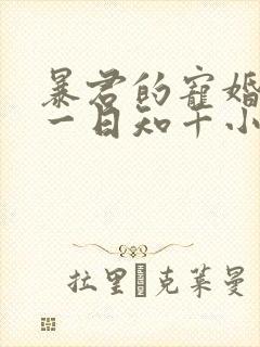 暴君的宠婚日常一日知千小说免费