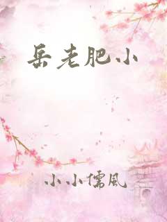 岳老肥小