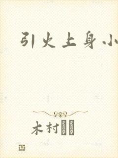 引火上身小说
