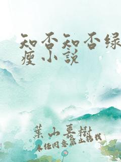 知否知否绿肥红瘦小说
