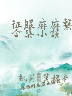 征服麻麻系列大合集小说