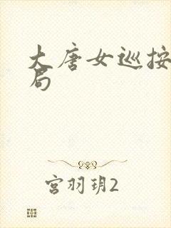 大唐女巡按大结局