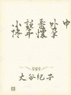 小说番外中结局佟年怀孕