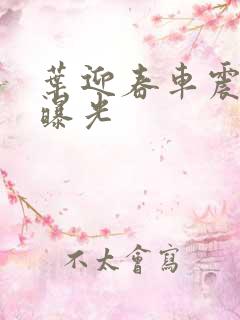 叶迎春车震照片曝光