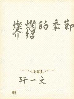 灿烂的季节剧情介绍