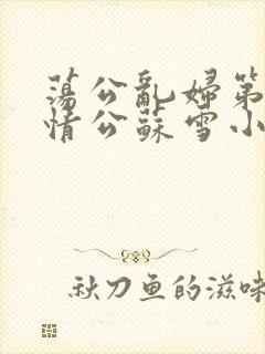 荡公乱妇第1章情公苏雪小说