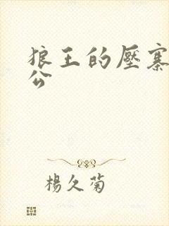 狼王的压寨小相公