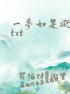 一梦如是逝水长txt