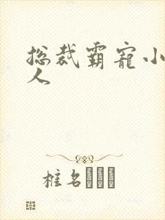 总裁霸宠小小女人