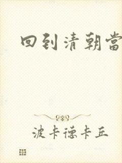 回到清朝当总统