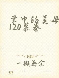 掌中的美母版主120慕卷