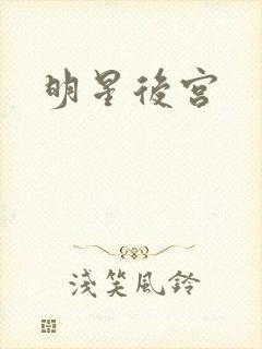 明星后宫