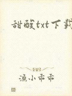 甜酸txt下载