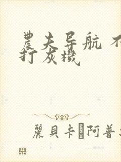 农夫导航 不准打灰机