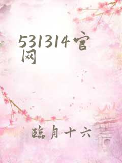 531314官网