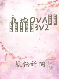 熟肉OVAちゃんはしたい3V2