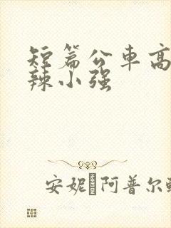 短篇公车高h肉辣小强