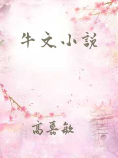 牛文小说