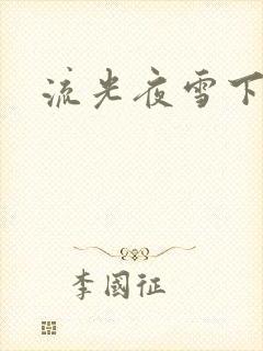 流光夜雪下载