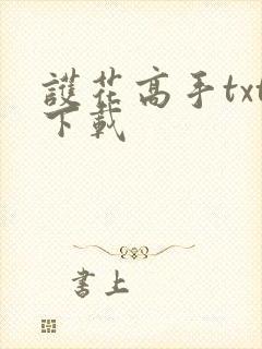 护花高手txt下载