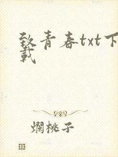 致青春txt下载
