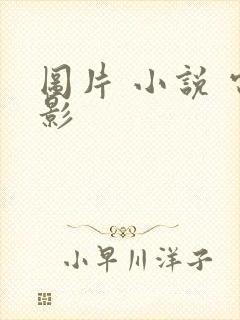 图片 小说 电影