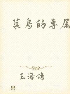 菜鸟的专属大神