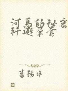 河马的秘密河文轩避孕套