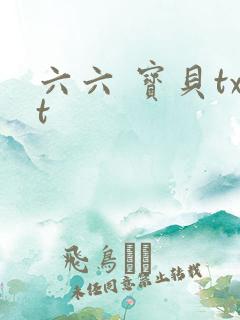 六六 宝贝txt