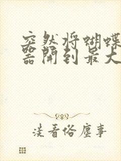 突然将蝴蝶遥控器开到最大