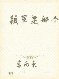 颖军是哪个军阀