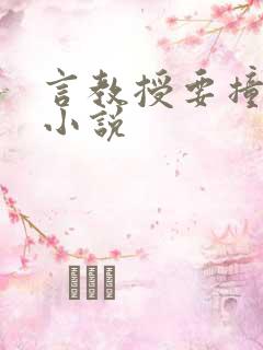 言教授要撞坏了小说