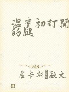 温实初打开眉庄的腿