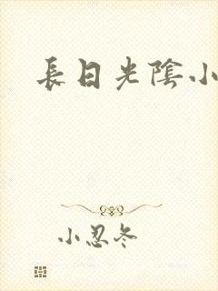 长日光阴小说
