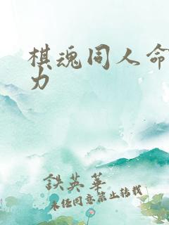 棋魂同人命运之力