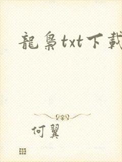 龙枭txt下载