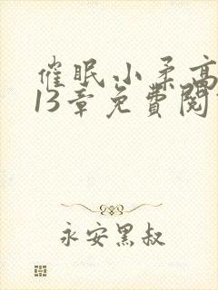 催眠小柔高达第13章免费阅读