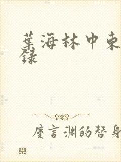 叶海林中东风云录
